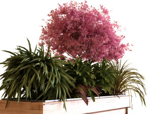plants tree set 028 Modello 3D
