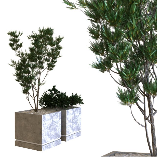 plants box set 09 Modelo 3D .c4d .max .obj .3ds .fbx .stl .blend