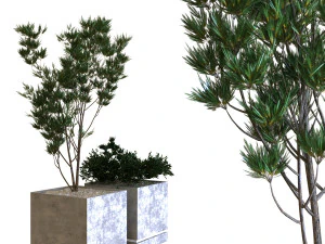 conjunto de caixas de plantas 09 Modelo 3D