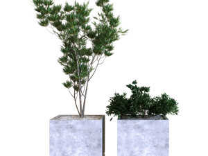 plants box set 09 Modelo 3D