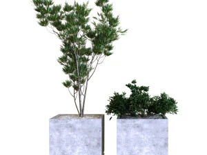 plants box set 09 3D Model