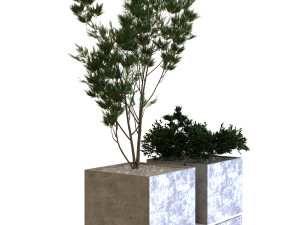 plants box set 09 Modelo 3D