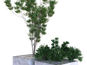 plants box set 09 Modelo 3D