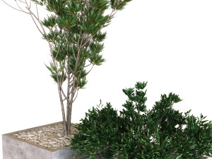 plants box set 09 Modelo 3D