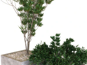 plants box set 09 3D Model