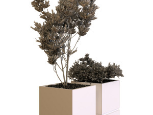 plants box set 09 Modelo 3D