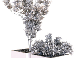 plants box set 09 Modelo 3D