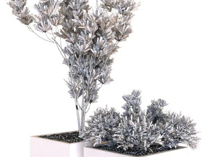 plants box set 09 3D Model