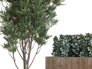 plants tree set 06 bench Modelo 3D