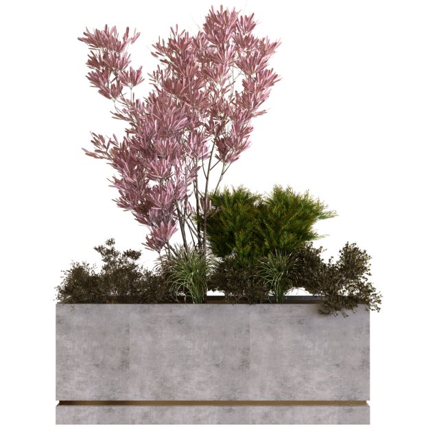 plants box set 10 3D Модель .c4d .max .obj .3ds .fbx .stl .blend 