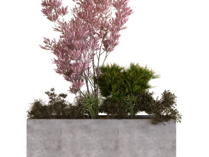plants box set 10 Model 3D