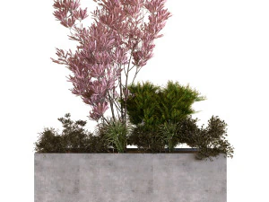 caixa de plantas 10 Modelo 3D