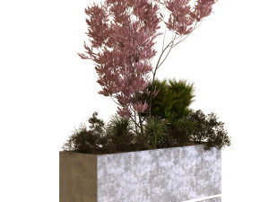 plants box set 10 3D Model