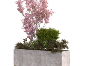 plants box set 10 3D Model