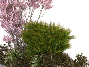 plants box set 10 3D Model