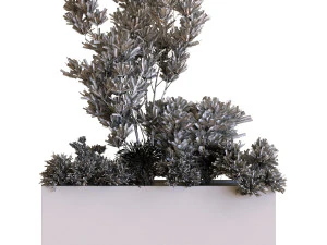 plants box set 10 3D Model