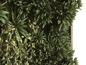 green wall vertical plant set 036 Modelo 3D