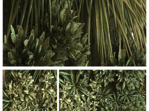 green wall vertical plant set 036 Modelo 3D