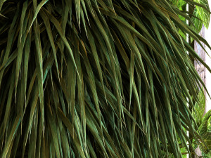 vertical plant set 037 3D 模型