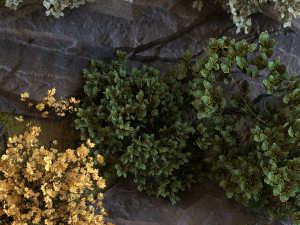 green wall set 040 3D Model
