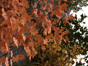 green wall set 040 3D Model