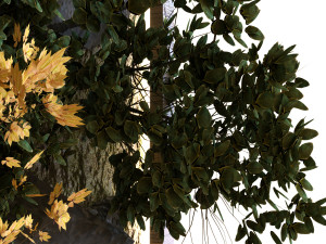green wall set 040 3D Model