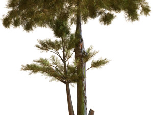 tree 035 Model 3D