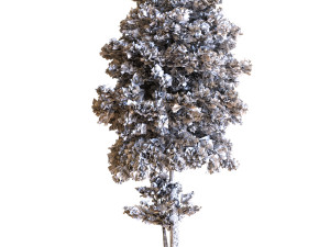 tree 035 Model 3D