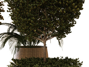 plant in box set 038 Modelo 3D