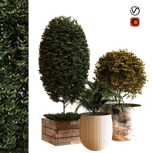 plant in box set 038 Modelo 3D .c4d .max .obj .3ds .fbx .stl .blend 