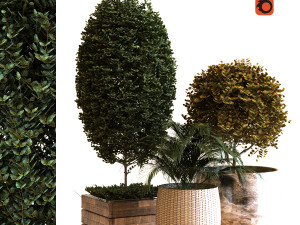 plant in box set 038 3D Model