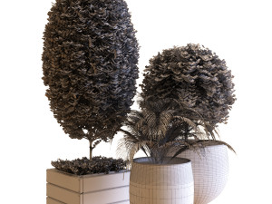 plant in box set 038 Modelo 3D