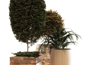 plant in box set 038 Modelo 3D