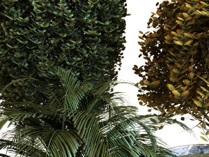 plant in box set 038 Modelo 3D