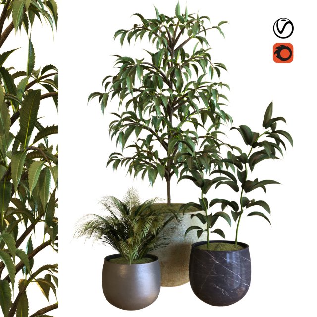 plant in box set 040 Modello 3D .c4d .max .obj .3ds .fbx .stl .blend 