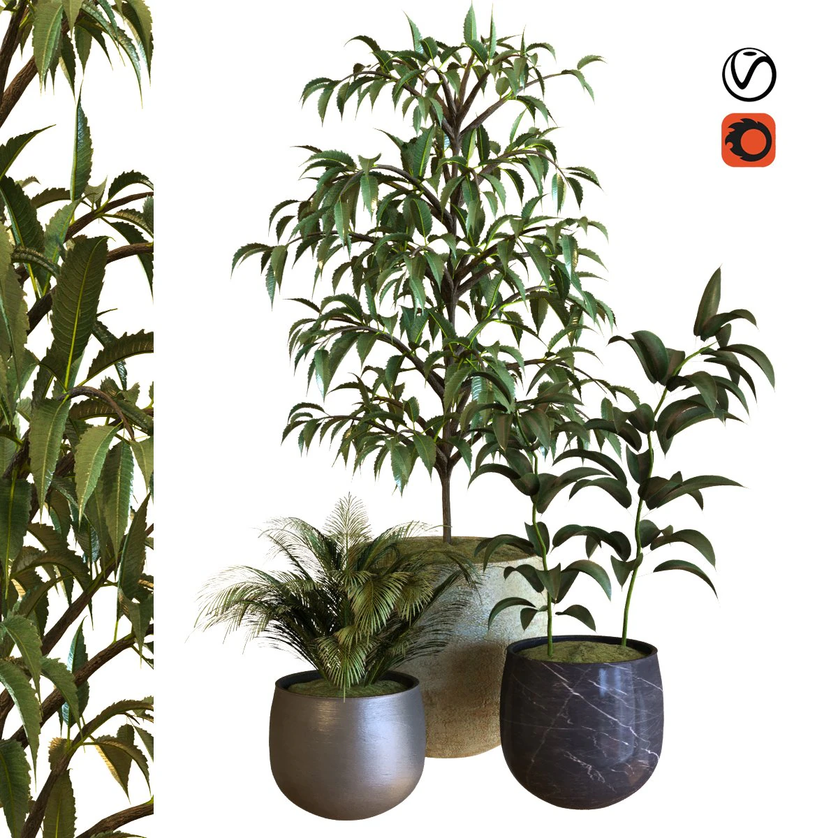 plant in box set 040 3D Model .c4d .max .obj .3ds .fbx .stl .blend 