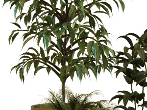 plant in box set 040 Modello 3D