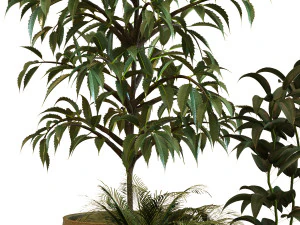 plant in box set 040 3D Model