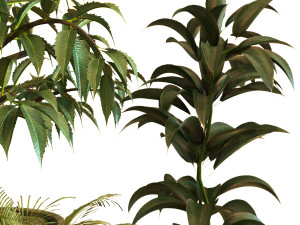 plant in box set 040 Modello 3D