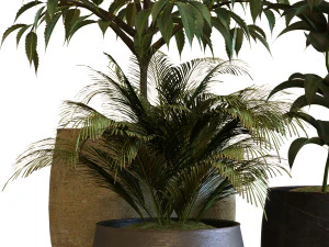 plant in box set 040 3D Model