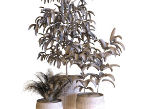 plant in box set 040 Modello 3D