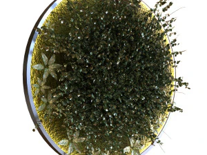 green wall set 043 3D Model