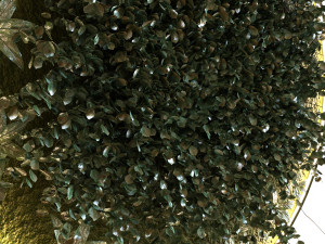green wall set 043 Modello 3D