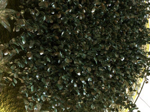 green wall set 043 3D Model