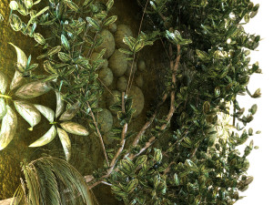 green wall set 046 3D 模型