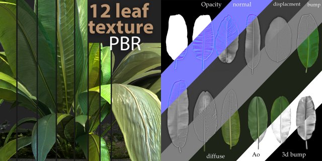 12 texture of banana leaf Texturas CG .c4d .max .obj .3ds .fbx .stl .blend 
