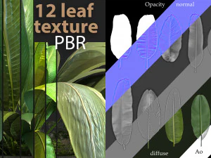12 texture di foglie di banana CG Textures