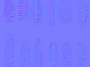 12 texture of banana leaf Texturas CG