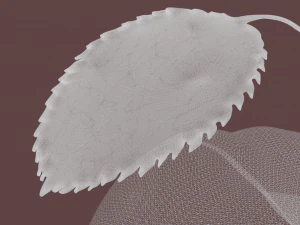 Zielone jabłko Model 3D