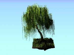 willow tree 3D 模型